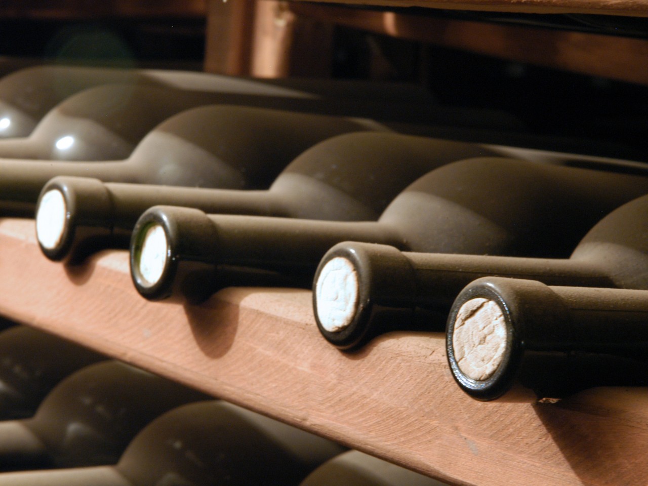 Хранение вина в домашних условиях – отрывок из книги «Вино просто»